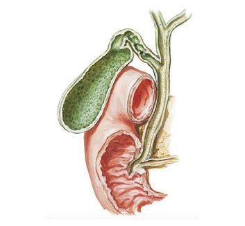 Biliary lectures